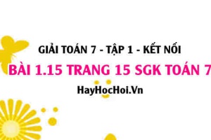 Giải bài 1.15 trang 15 Toán 7 Tập 1 SGK Kết nối tri thức